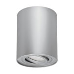 Spot Downlight montat la suprafata, TUBA HARY C, GU10, Argintiu