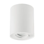Spot de tavan reglabil, Cilindru , Diametru 94 mm , Harry C Downlight, GU 10, Alb