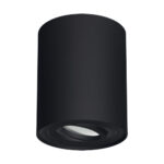 Spot de tavan reglabil, Cilindru , Diametru 94 mm , Harry C Downlight, GU 10, Negru