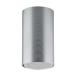 Spot de tavan cilindric , Diametru 56mm , Otto , GU 10, Inox