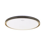 Plafoniera led cu ramă aurie, FIESTA LED C, 42 cm ,24 W, Negru/Auriu